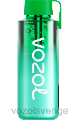 VOZOL Review - VOZOL NEON 10 000 BPTH229 miami mynta