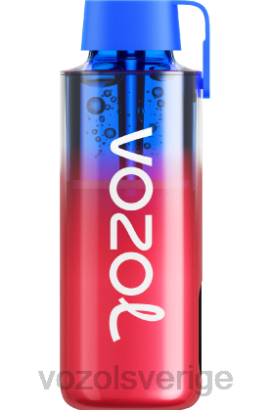 VOZOL Review - VOZOL NEON 10 000 BPTH239 jordgubbsvattenmelon