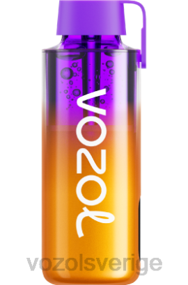 VOZOL Vape Smaker - VOZOL NEON 10 000 BPTH235 blandade bär