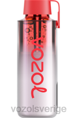 VOZOL Vape Store - VOZOL NEON 10 000 BPTH236 rosa bomb