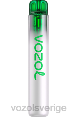 VOZOL Vape Sale - VOZOL NEON 800 BPTH248 druvis