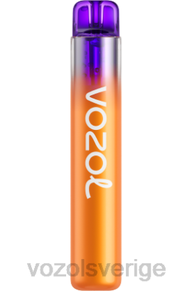 VOZOL Vape Smaker - VOZOL NEON 800 BPTH275 citron passionsfrukt