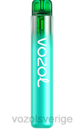 VOZOL Vape Store - VOZOL NEON 800 BPTH246 blåbärssura hallon