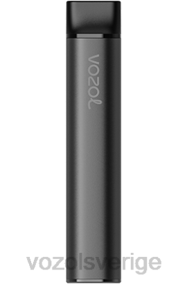 VOZOL Vape - VOZOL SWITCH 600 BPTH220 björnbärs is