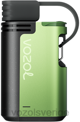 VOZOL Review - VOZOL GEAR 4000c/6000 BPTH329 vattenmelon is