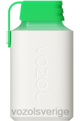 VOZOL Review - VOZOL GEAR 600 BPTH359 vattenmelon is