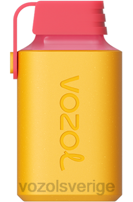 VOZOL Sverige - VOZOL GEAR 600 BPTH351 kiwi passionsfrukt guava