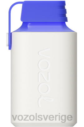 VOZOL Vape Store - VOZOL GEAR 600 BPTH346 blå razz citron