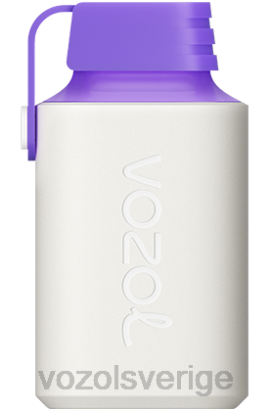 VOZOL Vape - VOZOL GEAR 600 BPTH350 skogsbärsenergi