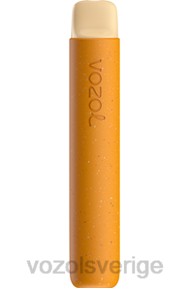 VOZOL Stockholm - VOZOL STAR 600 BPTH82 iskall mango