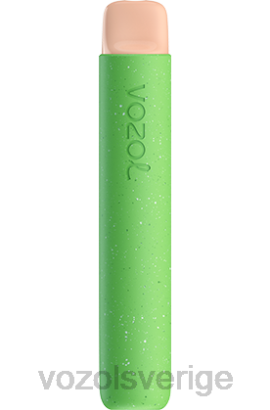 VOZOL Vape Shop - VOZOL STAR 600 BPTH87 citron hallon vattenmelon