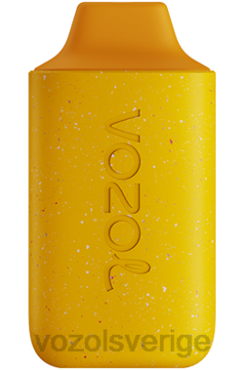 VOZOL Review - VOZOL STAR 6000 BPTH119 mango persika ananas