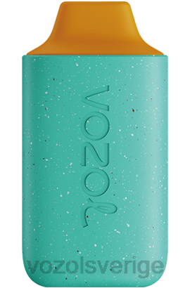 VOZOL Stockholm - VOZOL STAR 6000 BPTH102 cederträ pomelo