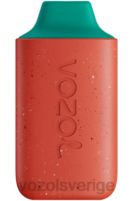 VOZOL Vape Shop - VOZOL STAR 6000 BPTH117 Litchi guava vattenmelon