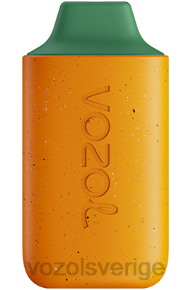 VOZOL Vape Smaker - VOZOL STAR 6000 BPTH115 kiwi guava passionsfrukt