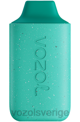 VOZOL Vape - VOZOL STAR 6000 BPTH110 fräsch mint