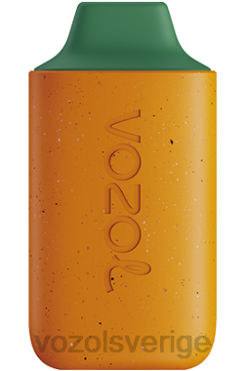 VOZOL Vape - VOZOL STAR 6000 BPTH120 mango persika vattenmelon