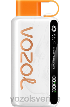 VOZOL Vape Sale - VOZOL STAR 9000/12000 BPTH28 persika mango vattenmelon