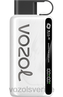 VOZOL Vape Sverige - VOZOL STAR 9000/12000 BPTH33 tobak