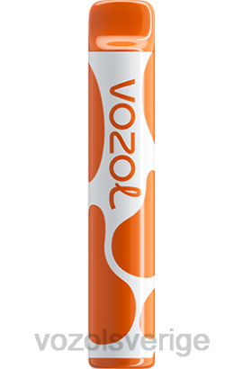 VOZOL Review - VOZOL JOYGO 600 BPTH379 kaffe