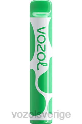 VOZOL Smaker - VOZOL JOYGO 600 BPTH394 vattenmelon tuggummi