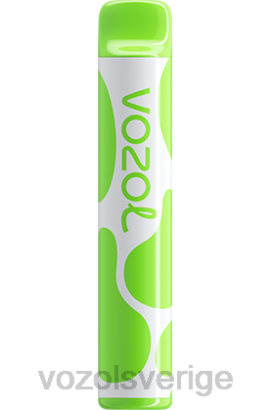 VOZOL Stockholm - VOZOL JOYGO 600 BPTH382 kiwi passionsfrukt guava