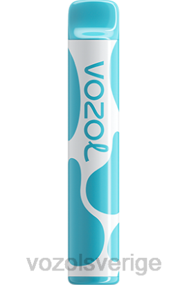 VOZOL Vape Shop - VOZOL JOYGO 600 BPTH377 blåbärssura hallon