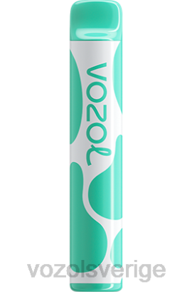 VOZOL Vape Shop - VOZOL JOYGO 600 BPTH387 mentol