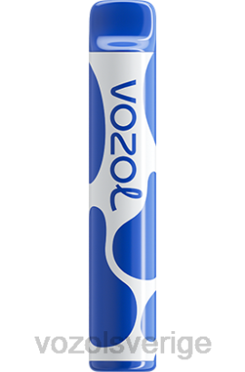 VOZOL Vape - VOZOL JOYGO 600 BPTH390 blåbärsstorm