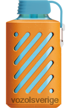 VOZOL GEAR 10 000 björnbärs is DX642314 - VOZOL Smaker