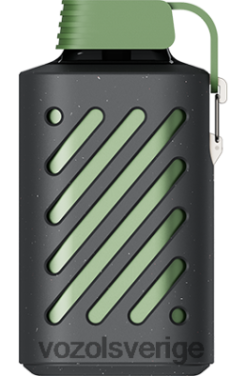 VOZOL GEAR 10 000 frodig is DX642297 - VOZOL Vape Shop