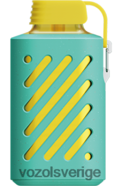 VOZOL GEAR 10 000 hallon vattenmelon DX642306 - VOZOL Vape Store