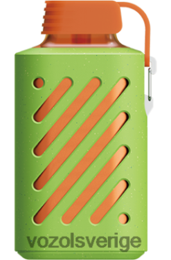 VOZOL GEAR 10 000 jordgubbskiwi DX642310 - VOZOL Vape