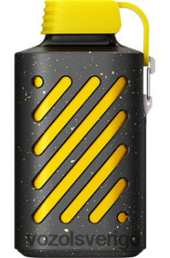 VOZOL GEAR 10 000 kiwi passionsfrukt guava DX642295 - VOZOL Vape Smaker