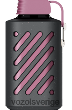 VOZOL GEAR 10 000 passionsfrukt hallon mandarin DX642300 - VOZOL Vape