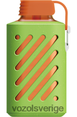 VOZOL GEAR 10 000 persika mango vattenmeion DX642303 - VOZOL Vape Sverige