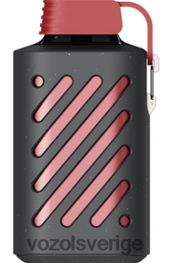 VOZOL GEAR 10 000 röd mojito DX642307 - VOZOL Vape Shop