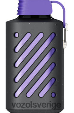 VOZOL GEAR 10 000 skogsbärstorm DX642291 - VOZOL Sverige