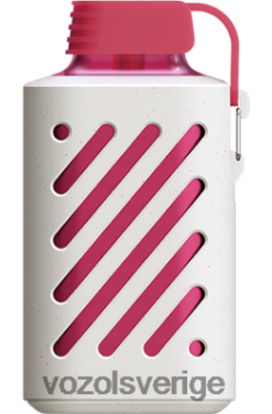 VOZOL GEAR 10 000 spunnet socker DX642287 - VOZOL Vape Shop