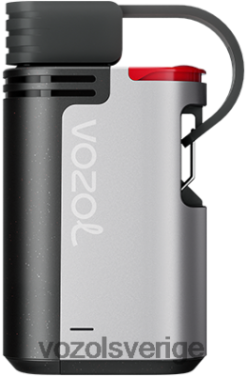 VOZOL GEAR 4000c/6000 jordgubbsglass DX642328 - VOZOL Vape Sale