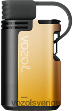 VOZOL GEAR 4000c/6000 kiwi passionsfrukt guava DX642326 - VOZOL Vape Store