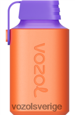 VOZOL GEAR 600 björnbärs is DX642360 - VOZOL Vape