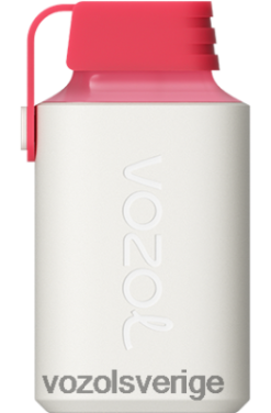 VOZOL GEAR 600 körsbärs is DX642362 - VOZOL Stockholm