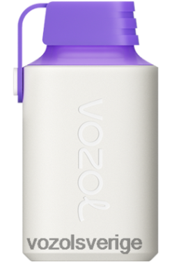 VOZOL GEAR 600 skogsbärsenergi DX642350 - VOZOL Vape