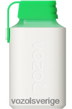 VOZOL GEAR 600 vattenmelon is DX642359 - VOZOL Review