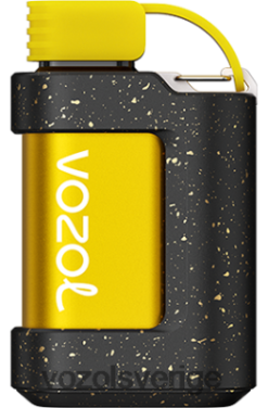 VOZOL GEAR 7000 persika is DX642337 - VOZOL Vape Shop