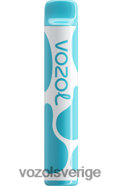 VOZOL JOYGO 600 blåbärssura hallon DX642377 - VOZOL Vape Shop