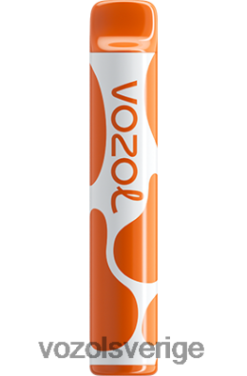 VOZOL JOYGO 600 mango is DX642386 - VOZOL Vape Store