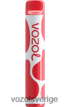 VOZOL JOYGO 600 persika is DX642389 - VOZOL Review