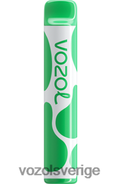 VOZOL JOYGO 600 vattenmelon tuggummi DX642394 - VOZOL Smaker